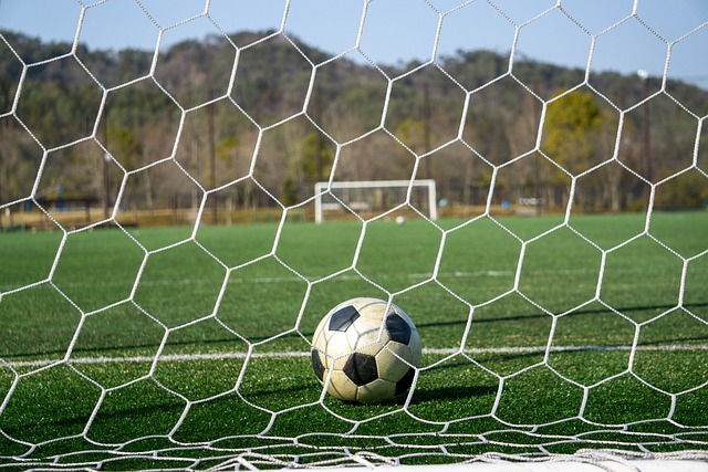 选择新任主 选择新任主