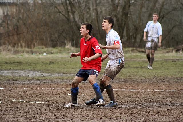 内容规划 内容规划