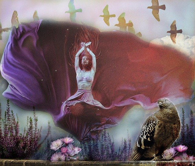 了高水平的 了高水平的