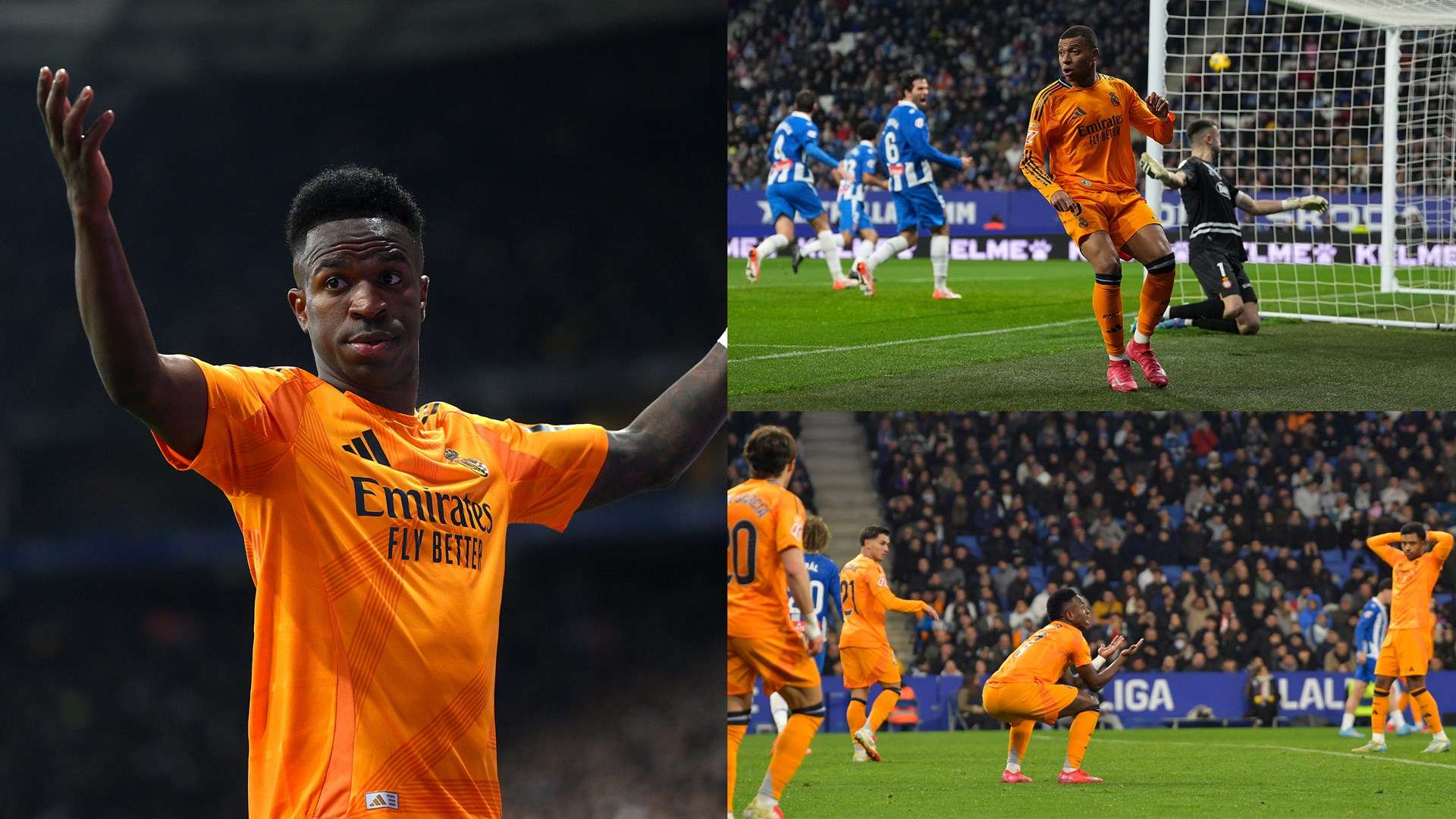 仅代表了他 仅代表了他